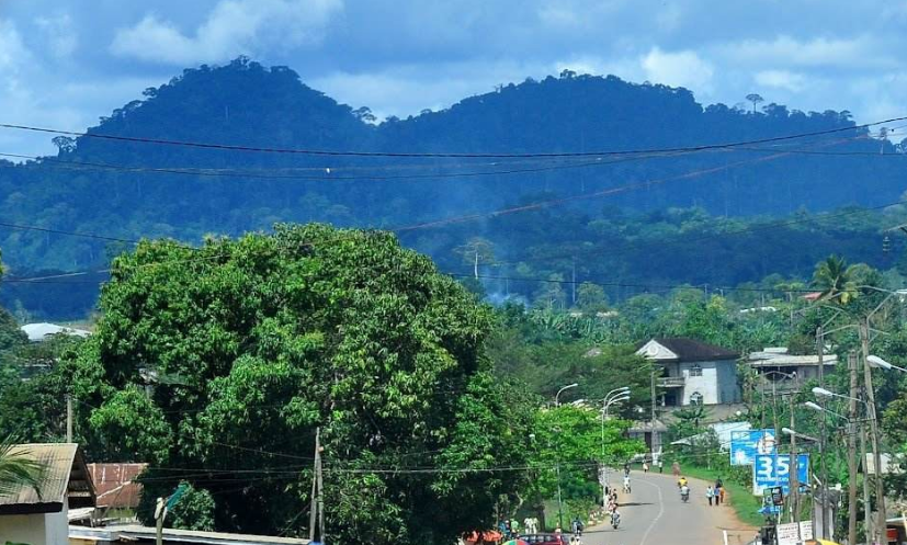 驻喀麦隆使馆更新申请办理中华人民共和国签证须知