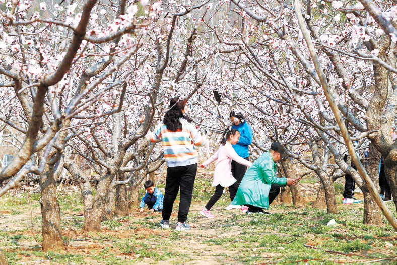 文旅部：清明节假期预计国内旅游收入65.20亿元