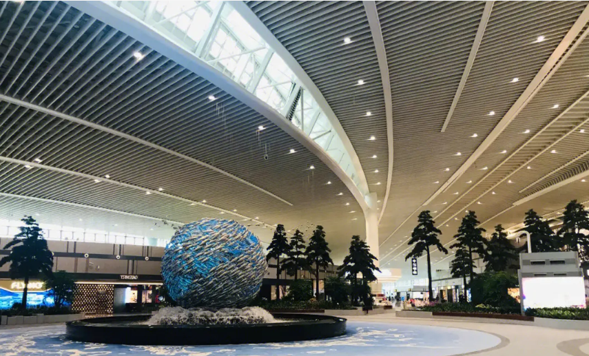 加密青岛—深圳航班！青深空中快线正式启航