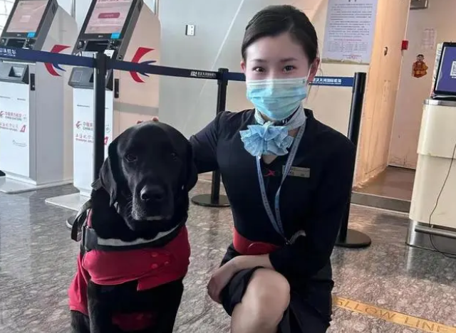 “HAPPY”！欢迎再次乘坐中国东航武汉公司航班！