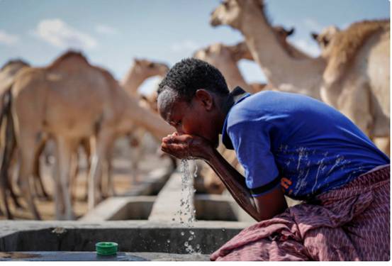 肯尼亚 | 北部爆发不明疫情，九人死亡，八十人患病