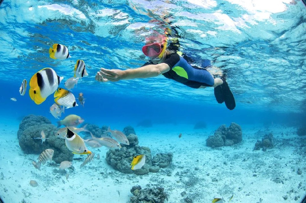 旅游平台纷纷发布端午假期总结 今年端午“松弛感”旅行火热