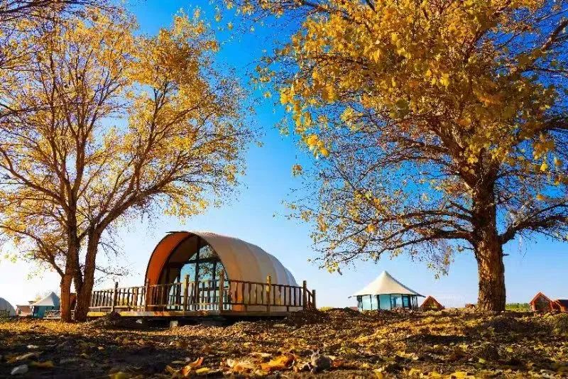 “上海—西安—克拉玛依”航线7月2日开航