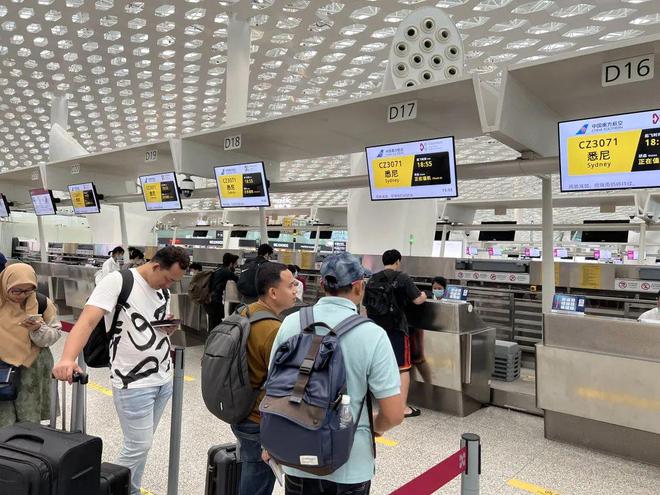 深圳每周国际及地区航班量较年初增长超7倍