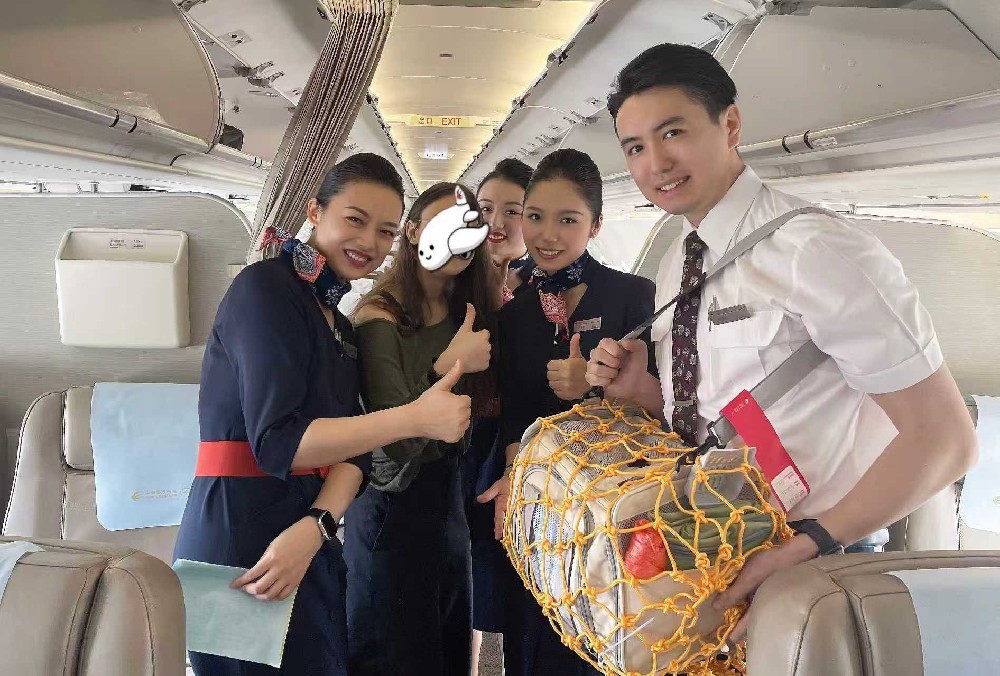 东航“宠物进客舱”服务升级3.0版：覆盖31个机场、110条航线