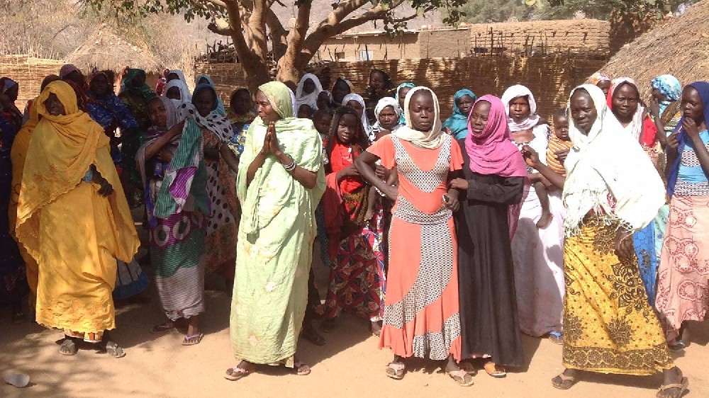 驻乍得大使馆发布开展在乍中国公民信息登记的通知