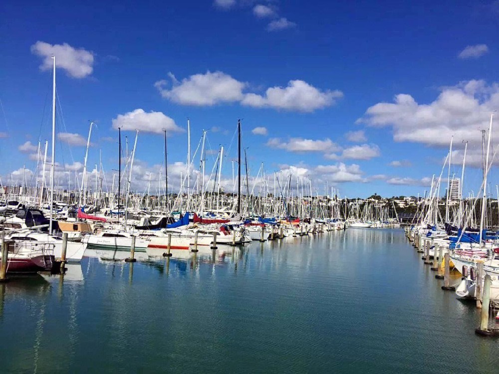 新西兰迎来中国黄金周游客回归